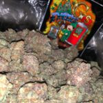 sundae driver weed strain, Is sundae driver a good strain, Sundae driver cartridge near me, sundae driver weed strain allbud, sundae driver effects