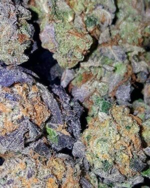 What is Blue Dream Strain Good For, Blue dream weed strain near me, Is blue dream sativa or hybrid, What is granddaddy purple good for, Is granddaddy purple strong