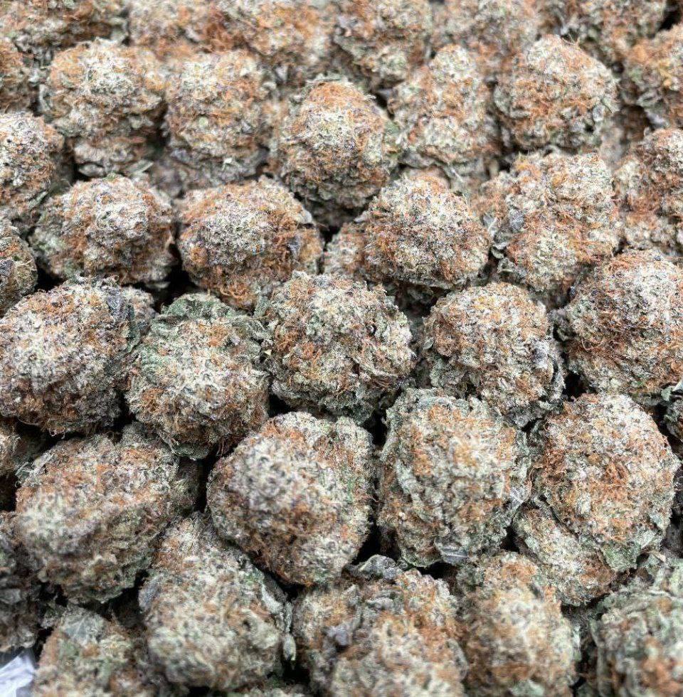 Apple jacks strain, apple jack strain, apple jack weed strain, apple jacks strain effects, apple jack strain sativa or indica, apple.jax