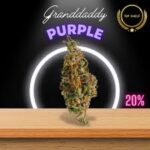 Buy Granddaddy Purple Online USA