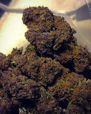 Buy purple kush online in USA