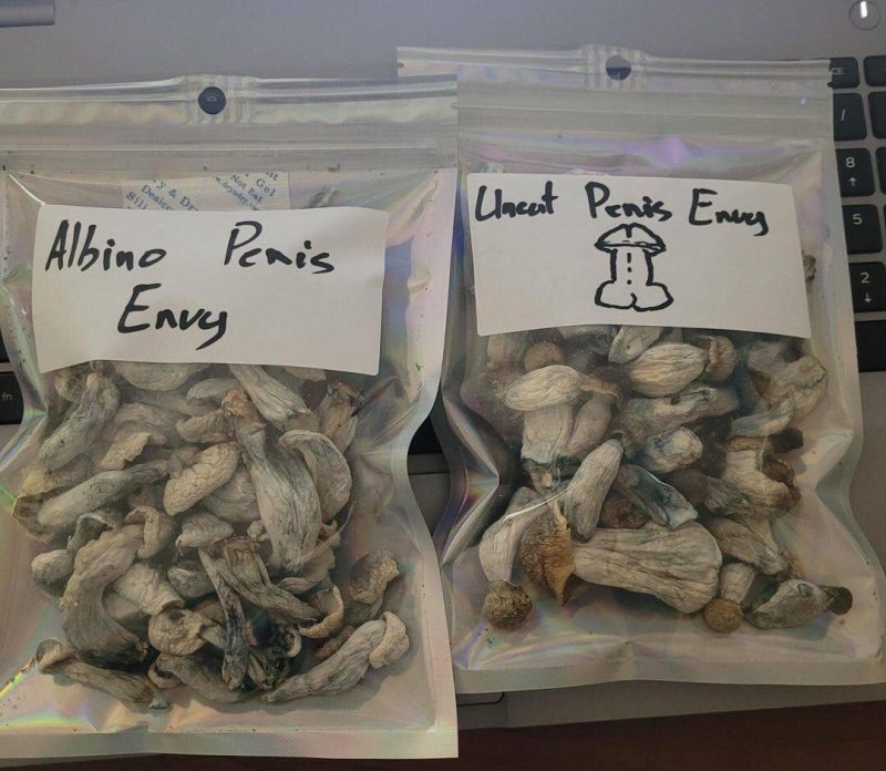 Order Penis Envy Mushrooms